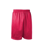 Gym shorts-red mesh