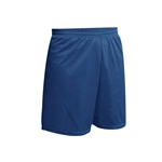 Nylon Mesh Gym Shorts